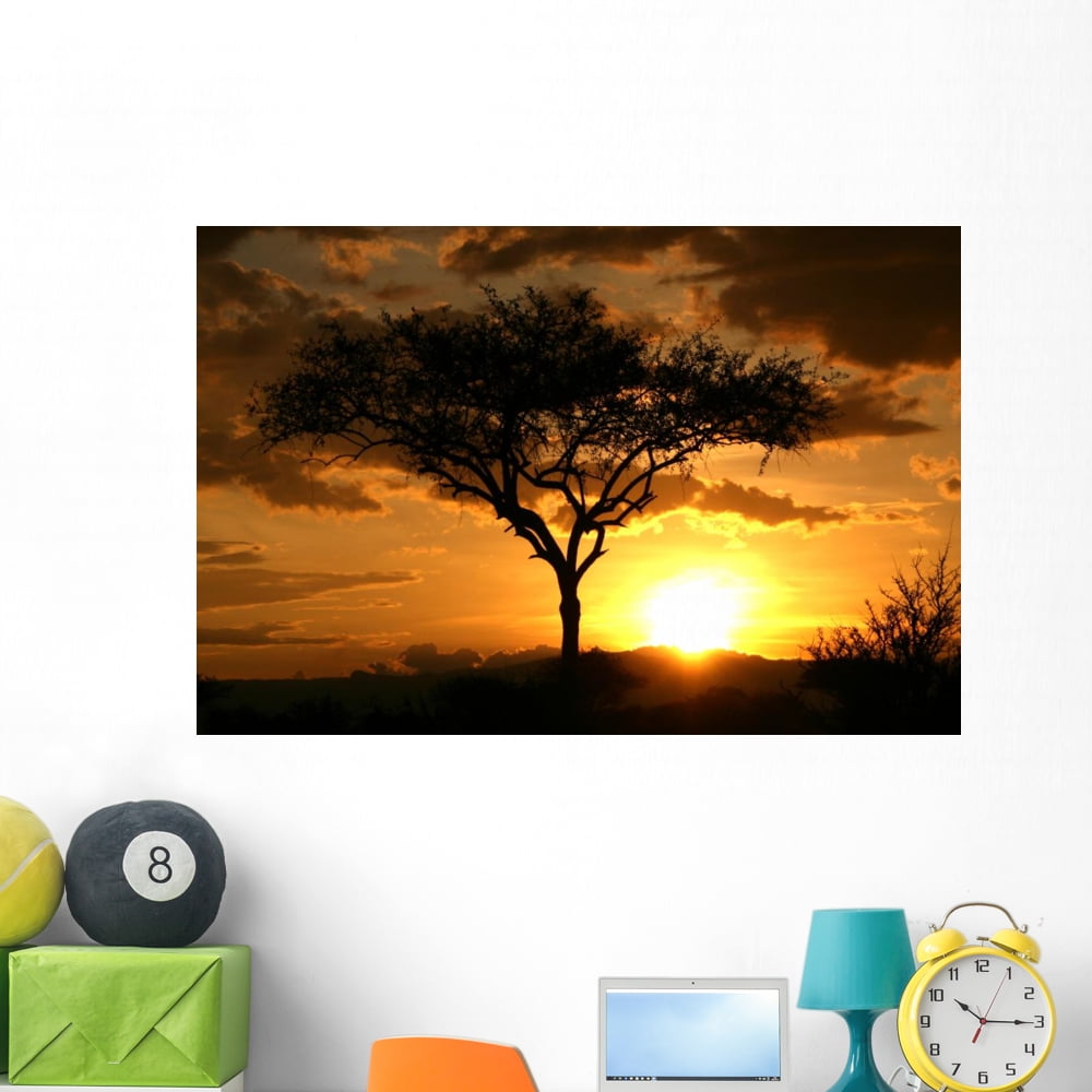 African Sunset Tanzania Africa Wall Mural by Wallmonkeys Peel and Stick