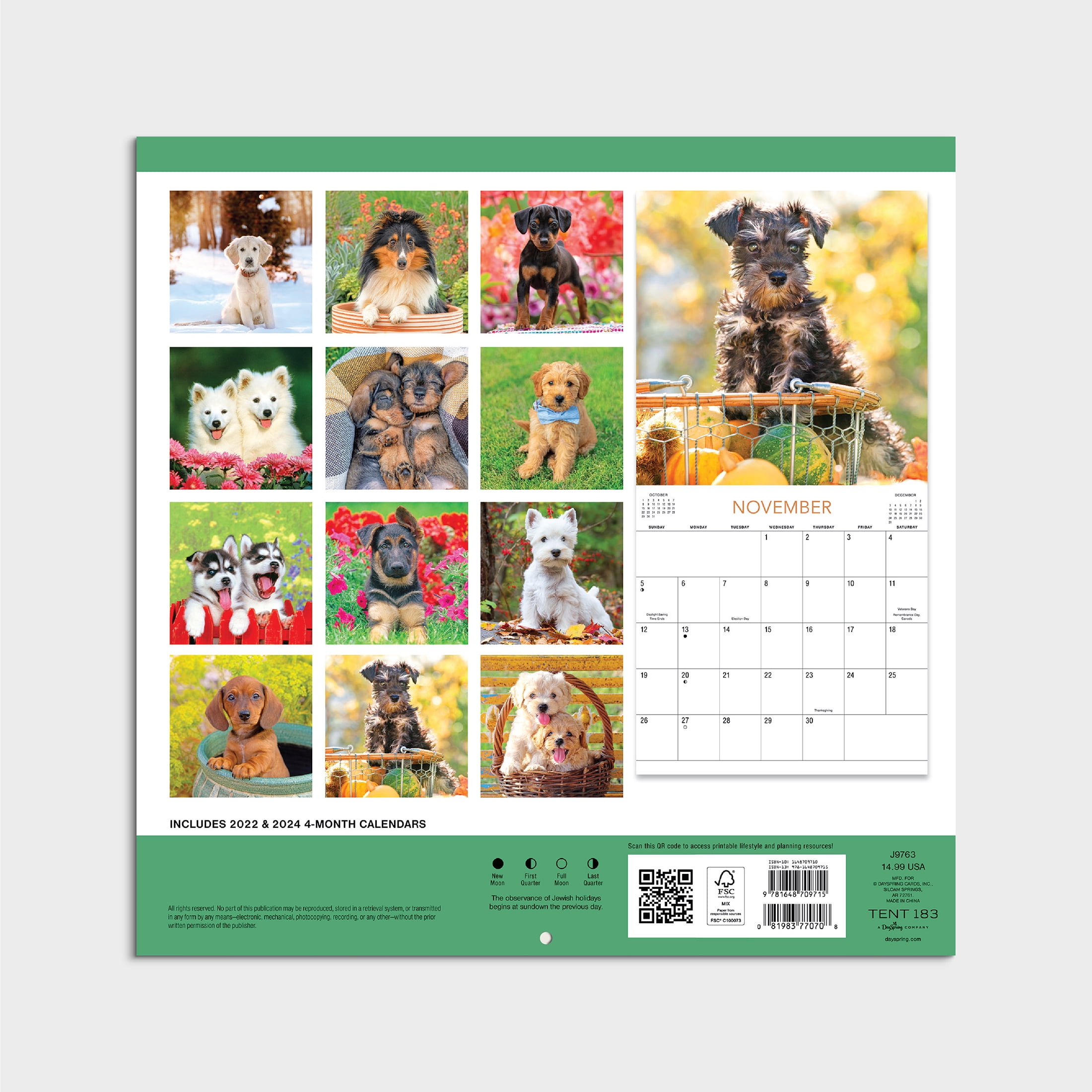 2023-12 Month Calendar-Puppies 12x12 Hanging Wall Calendar by DaySpring