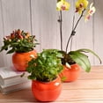 thumbnail image 4 of Visland Self Watering Planter, Self Watering Pot for Indoor Plants Wicking Pots, Vitange Decorative Planter Pot for House Plants Succulents, 4 of 7