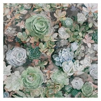 Fine Art Canvas Succulent Garden Square by Studio Arts Canvas Art Print