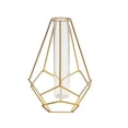 thumbnail image 2 of Votnto Gold Iron Hydroponic Vase with Glass Tube, Modern Wire Frame Flower Vase for Living Room Desktop Home Decor, Table Centerpiece, 2 of 6