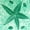 STARFISH, GREEN, variant on HAPPY BAY Women's Bikini Wraps Sarong Cover up Wrap Skirt Bathing suit Swimwear Swimsuit Beach Coverup for Women One Size Starfish, Green