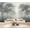 Color 1, variant on Wallpaper Palm Leaves Neutral Beige Tones Minimalist Tropical Boho Style Peel and Stick Wall Murals 69"H x 96"W Removable PVC Wall Paper Self-Adhesive Wall Paintings Art Decor for Bedroom Living Room