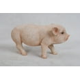 thumbnail image 2 of Garden Decor Animal Statue Standing Baby Pig, 2 of 5