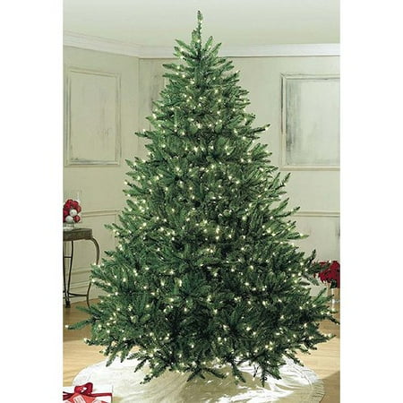 Queens Of Christmas 6' Pre-Lit Sequoia Tree With Pure White Lights Queens of Christmas 6' Pre-Lit Sequoia Tree with Pure White Lights - Queens Of Christmas 6' Pre-Lit Sequoia Tree With Pure White Lights