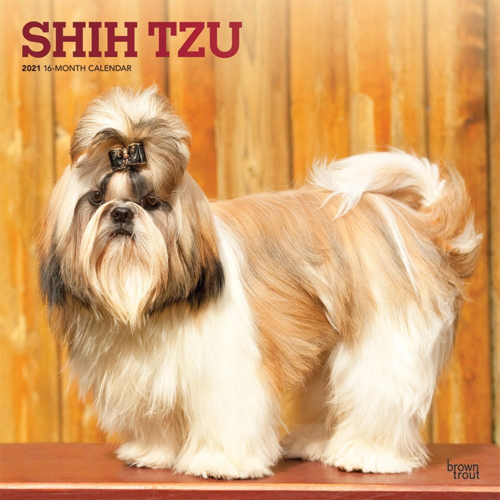 Shih Tzu Calendar Printable Calendar 2023
