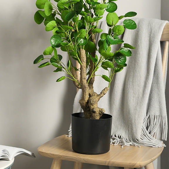 Chenjy Indoor Plant Pots Plastic Plant Pots for Plants with Saucers Indoor, Plastic Planters Modern Flower Pot with Hole for All House Plants Herbs Flowers and Seeding Nursery Walmart Outlet