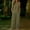 Green, variant on Caywon Womens 2 Piece Round Neck Tank Top Wide Leg Pants Set Sleeveless Elastic Waist Loungewear Breathable Wrinkle-Free Casual Loose Fit Conjunto de Ropa para Mujer