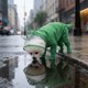 thumbnail image 5 of Impermeable para perro Abrigo impermeable con capucha para mascotas de exterior • Diseño de amplia cobertura • Chaqueta de seguridad reflectante transpirable • Prenda ligera plegable, 5 of 6