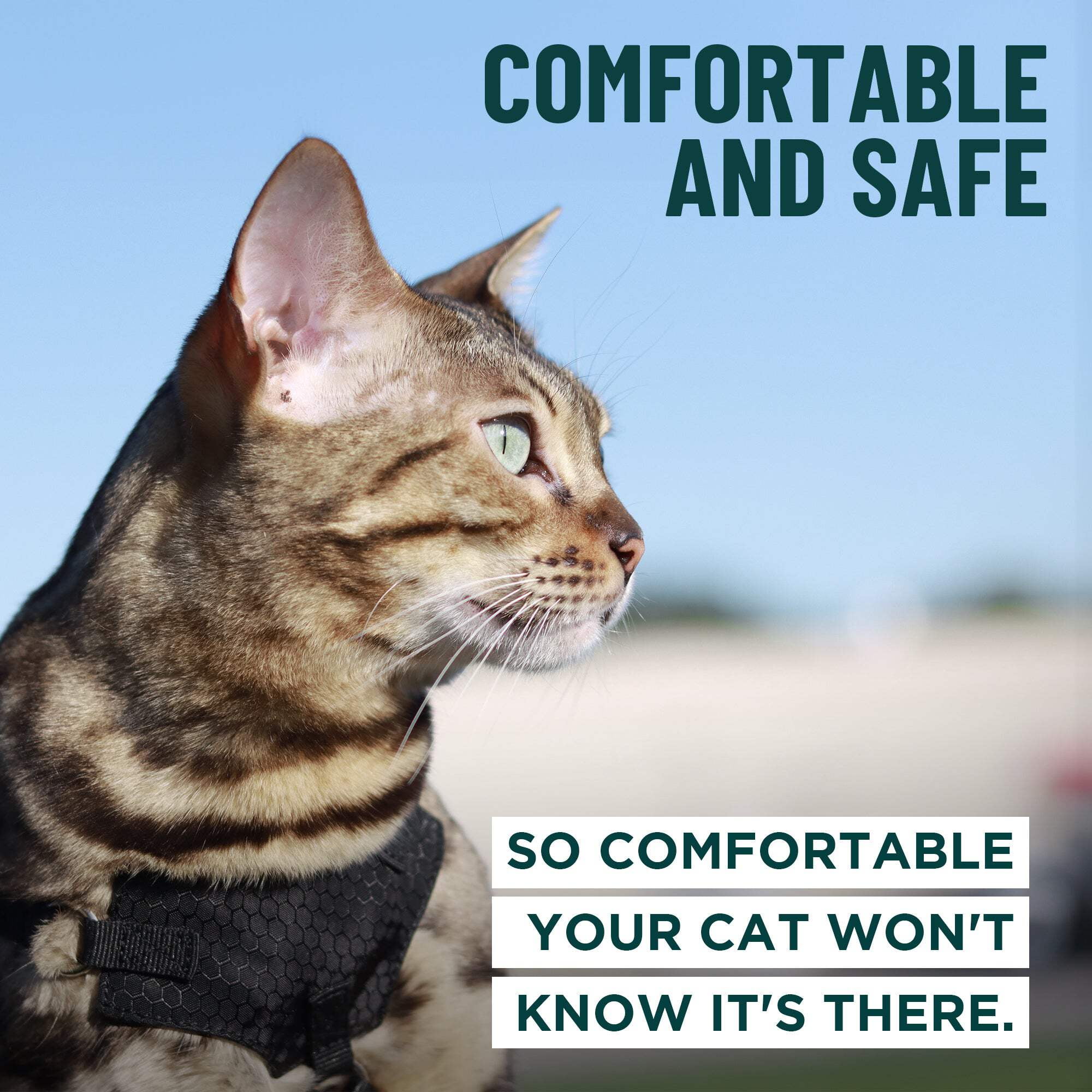 Houdini™ Escape Proof Cat Harness