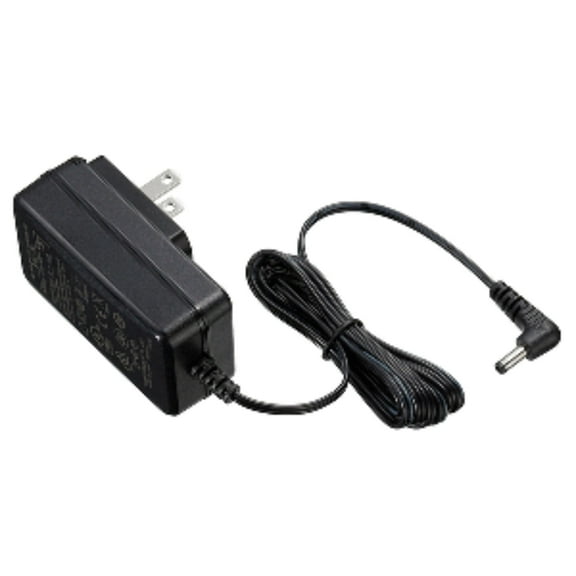 110V AC Charger
