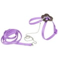 thumbnail image 1 of Bearded Dragon Leash, Bearded Dragon Harness Bearded Dragon Leash And Harness Set Adjustable Lizard Walking Control Traction Rope for Reptiles Carrying Walking, 1 of 8