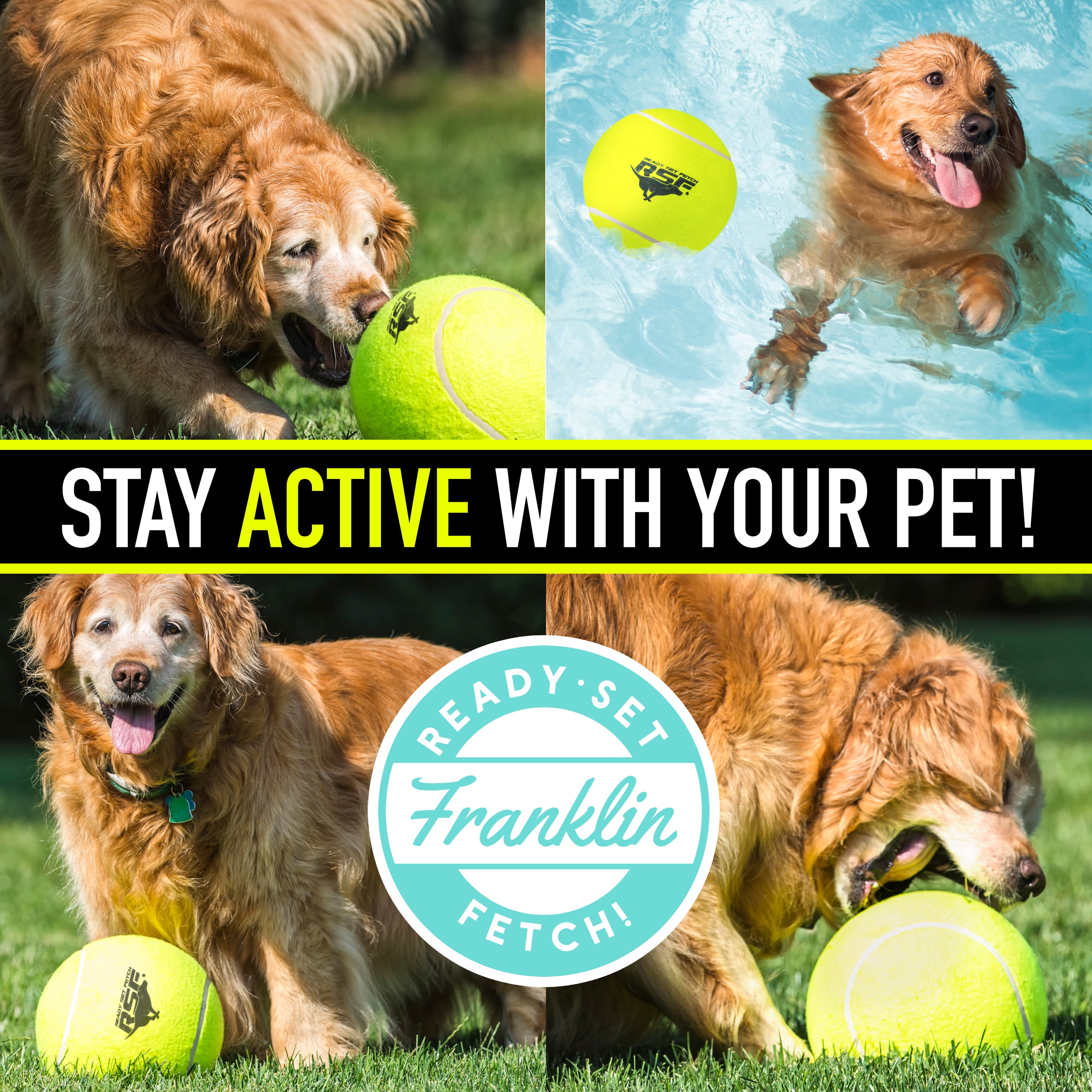 Franklin Pet Supply Ready Set - Lanzador automático de pelotas de tenis,  lanzador auténtico, juguete interactivo para perros