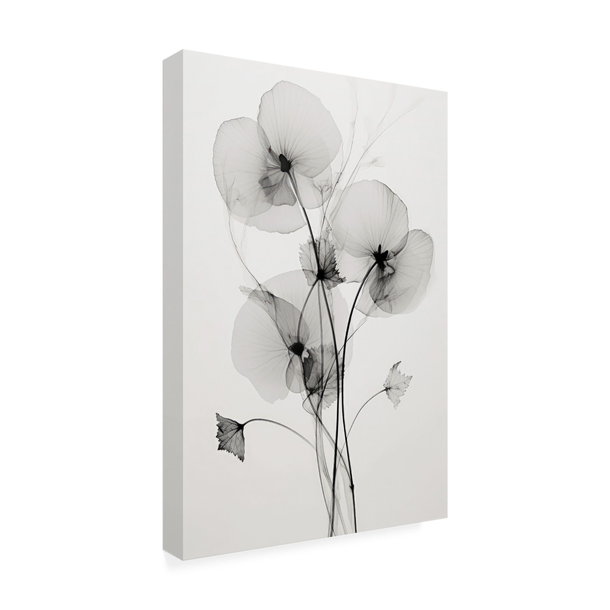 Treechild 'Transparent Botanic No1' Canvas Art