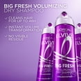 thumbnail image 4 of L'Oreal Paris Elvive Collagen Peptide Plus Lifter Volumizing Big Fresh Dry Shampoo, 4 of 13