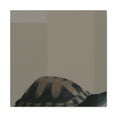 thumbnail image 1 of Box Turtle Reflection - Canvas, 1 of 10