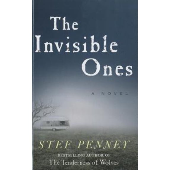 Pre-Owned The Invisible Ones (Hardcover) 1410445283 9781410445285