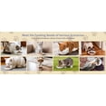 thumbnail image 2 of 6 PCS Cat Bowls,Cat Food Bowl,Anti Whisker Fatigue Ceramic Cats Dishes for Indoor Cats,Shallow Wide Kitten Plates for Wet & Dry Food and Water,Non-Slip Silicone Base (classic cat elements), 2 of 8