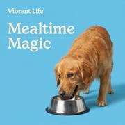 Vibrant Life Large 8.4-Cup Stainless Steel Pet Bowl, Silver