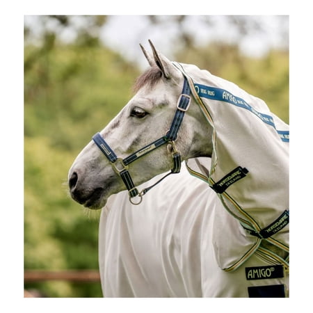 HORSEWARE IRELAND Horseware Field Safe Headcollar, Color: Navy, Size: Cob (DHHFM0-B000-CO)