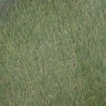 thumbnail image 4 of 3X 10Mx2M Filet de Protection pour Insectes Mouches Fruits Cage Filet de Protection pour Légumes Plantes, 4 of 6