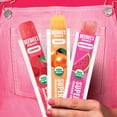 thumbnail image 5 of Deebee's Organics Super-Juice Freezie Pops, 15 Count, 1.35 fl oz, 5 of 7