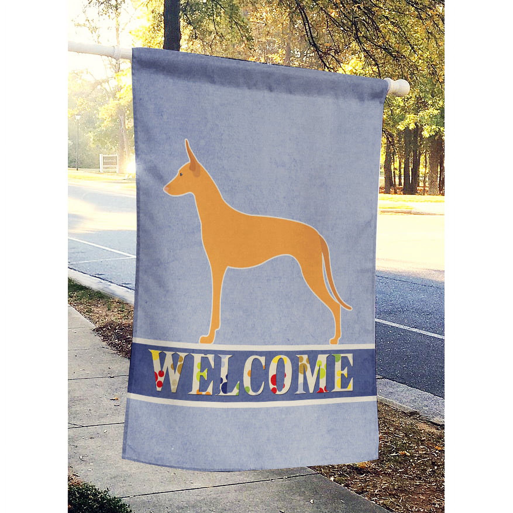 Carolines Treasures BB5492CHF Pharaoh Hound Welcome Flag Canvas House Size , Large, multicolor - image 2 of 4