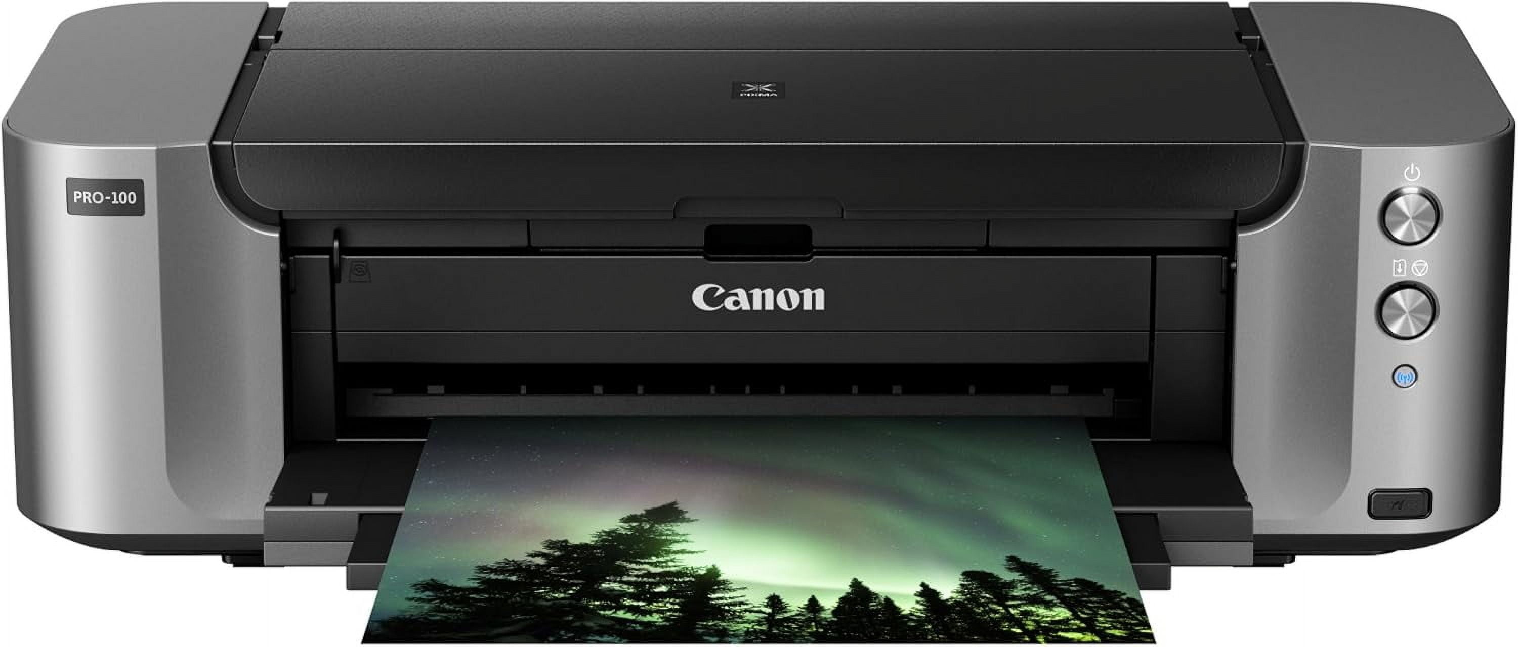 Canon PIXMA PRO-100 Professional Photo Printer, Gray, 1