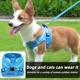 thumbnail image 4 of Conjunto de arnés y correa para cachorros para perros pequeños, arnés de malla ajustable para gatos, bulldog francés, chihuahua, suministros para paseos al aire libre, 4 of 5