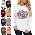 thumbnail image 3 of Sudadera de calabaza con estampado de leopardo de Halloween para mujer, cuello redondo, manga larga, jersey de Halloween para mujer, blanco XXL, 3 of 5