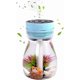 thumbnail image 1 of Micro Landscape Humidifiers, Mini Humidifier, Small Humidifier,Cute humidifier,Car Humidifiers,Air Humidifier,personal humidifier,Cool Mist Humidifier, 1 of 4