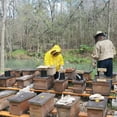 thumbnail image 6 of 5 Pepper Smoked Honey, 6 of 9