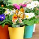 thumbnail image 3 of Bonitas Decoraciones Acrílicas En Forma De Animales Y Otras Figuras Para Crear Un Estilo Único En Tu Hogar. ¡El Verde Y Los Adornos Darán Vida A Tu Espacio Al Instante!, 3 of 5