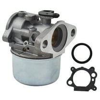 Carburetor 799868 Carb for Briggs & Stratton 497314 497347 497410 497586 498170 498254 498255 498966 499617 692648 693909 694202 698444 790821 799872