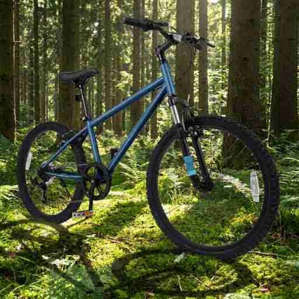 Redsmile Kids Mountain Bike 20 Inch, Boys Girls Bike for Ages 8 and Up, Youth Bicycle with Metal Frame and 110 lb Capacity for Neighborhood Riding and Trails, Blue
