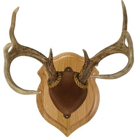Country Oak & Stoves Walnut Hollow Country Deluxe Antler Display Kit in Solid Oak for Whitetail Deer & Mule Deer Antlers ()