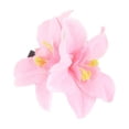 thumbnail image 2 of Funicet Fleurs pour Cheveux, Accessoires pour Cheveux à Fleurs, Épingle à Cheveux Double Fleur Style Bohème Tête Épingle à Cheveux Fleur Simulée Accessoires pour Cheveux, 2 of 3