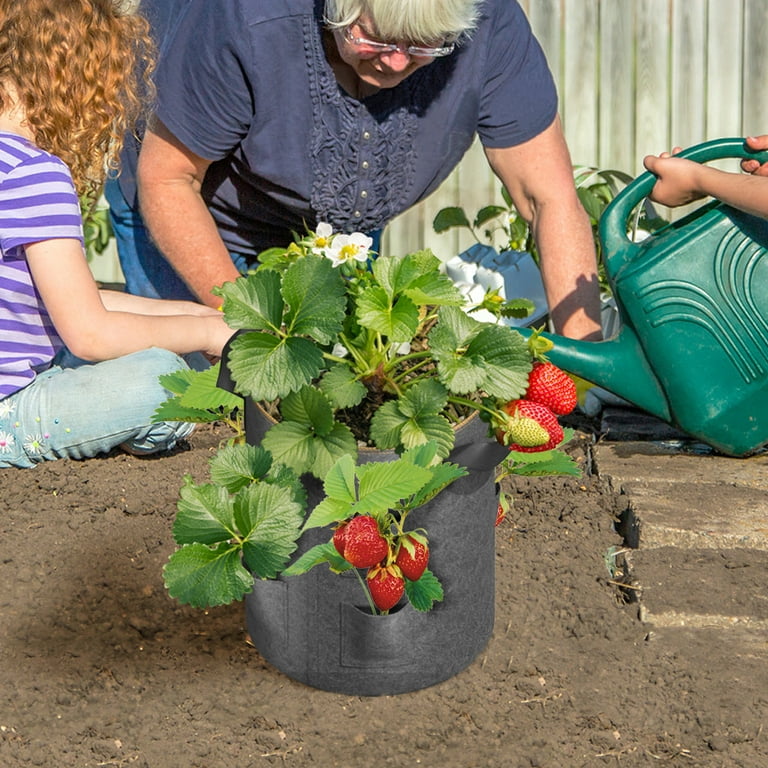 Exploring the Top 10 Most Popular Size 247Garden Grow Bags for Backyard  Gardening