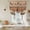 Brown, variant on Western Texas Star Retro Balloon Curtains for Windows, Bedroom Curtains 54 Inch Length, Vintage Farmhouse Berry Brown Wood Tie Up Curtains Panels Thermal Insulated Bathroom Curtains Window 42"x54"