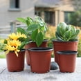 thumbnail image 1 of 50Pcs Flower Pot Practical Easy-cleaning Sturdy Plant Nursery Container for Decoration style 3 One Size, 1 of 1