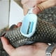 thumbnail image 3 of Injueey Fish Scale Planer Tool Professional Anti-skidding Seafood Cleaning Exquisite Scale Kitchen Crackers Tweezer Wear-resistant Suministros de limpieza para el hogar Verde Injueey HA024579-01, 3 of 6