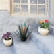 thumbnail image 1 of Xihbxyly Escultura de Planta de Tequila, Diseño Único con Detalles En Azul, Obra de Arte En Metal Hecha a Mano, Decoración para Jardín Exterior, Complemento Artístico para El Hogar, 55 Cm de Altura,, 1 of 4