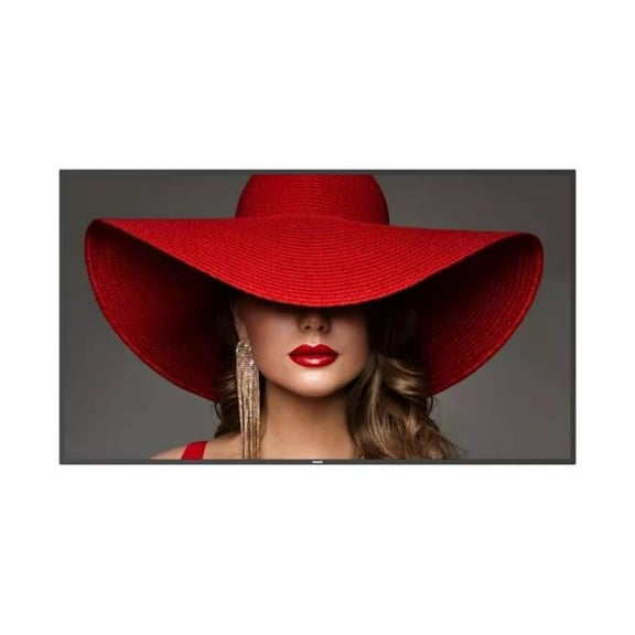 65BDL4650D-00 65 in. Commercial Android 24-7 TV