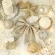 thumbnail image 5 of Adornos navideños Juego de bolas navideñas de espuma para la parte superior del árbol de Navidad de Platinum Boutique Colgante para árbol de Navidad, 5 of 5