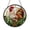 Acrylic 3.5 Inch, variant on Circular Rooster Stained Glass Window Hanging, Vibrant Farmhouse Design with Red White Accents for Cozy Rural Style Decor