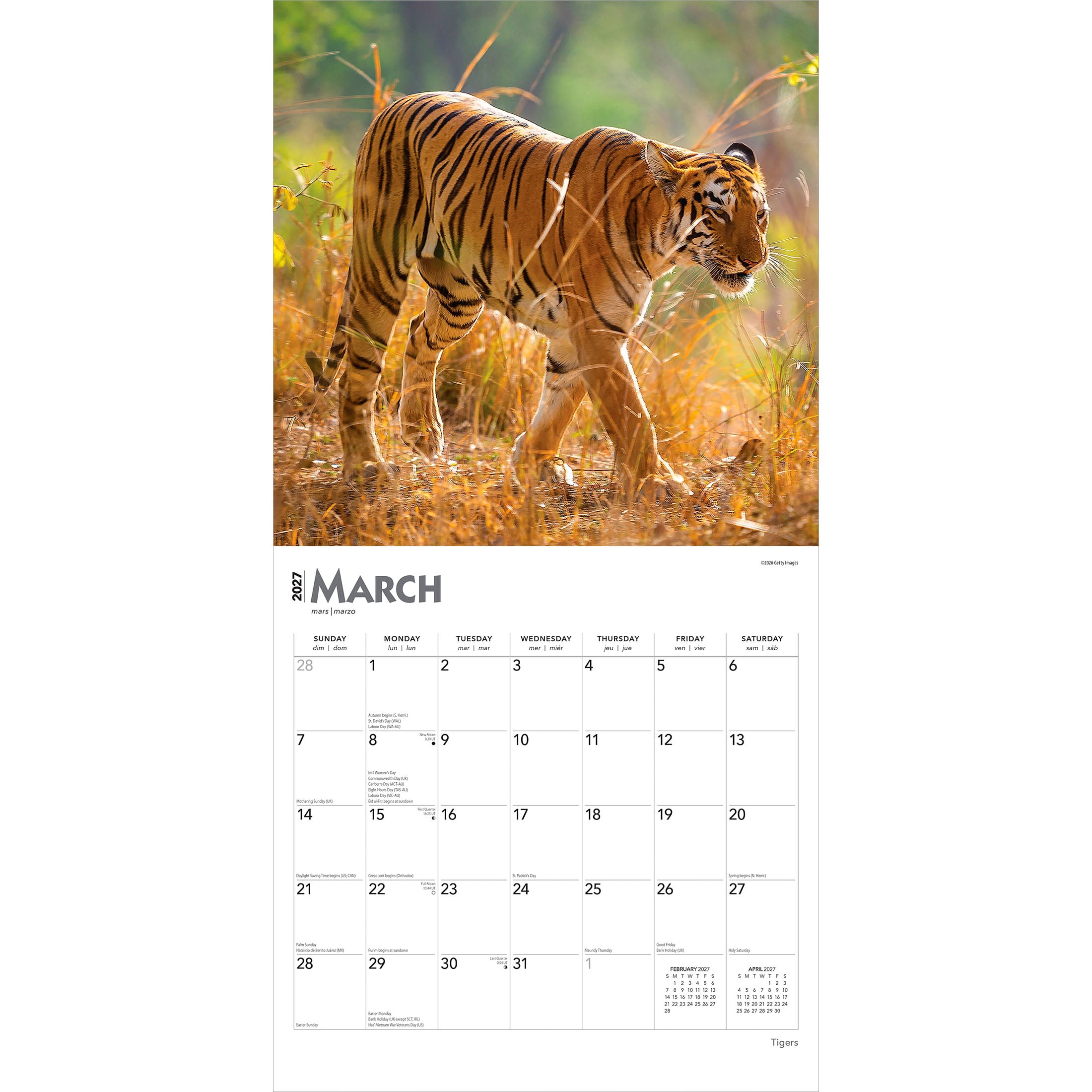 Tigers 2027 Square