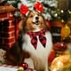 thumbnail image 5 of Collar De Bola Para Mascotas, Con Lazo Festivo, Tamao Ajustable, Tela Suave, Para Perros Pequeos Y Medianos, Regalo De Navidad, Collar Decorativo, Ideal Para La Temporada Navidea, Diseo, UKHBMC, 5 of 8
