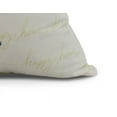 thumbnail image 2 of Simply Daisy, 18 x 18 inch, Margarita Text Fade Happy Hour Geometric Print Pillow, Light Green, 2 of 2