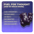 thumbnail image 5 of (2 pack) Nütrops Nootropic Mushroom Gummies with Lion's Mane, Cordyceps, & Reishi - Functional Mushrooms & Adaptogens to Support Focus, and Brain Health, Caffeine-Free, Lemon Clouds Flavor, 12 count, 5 of 9