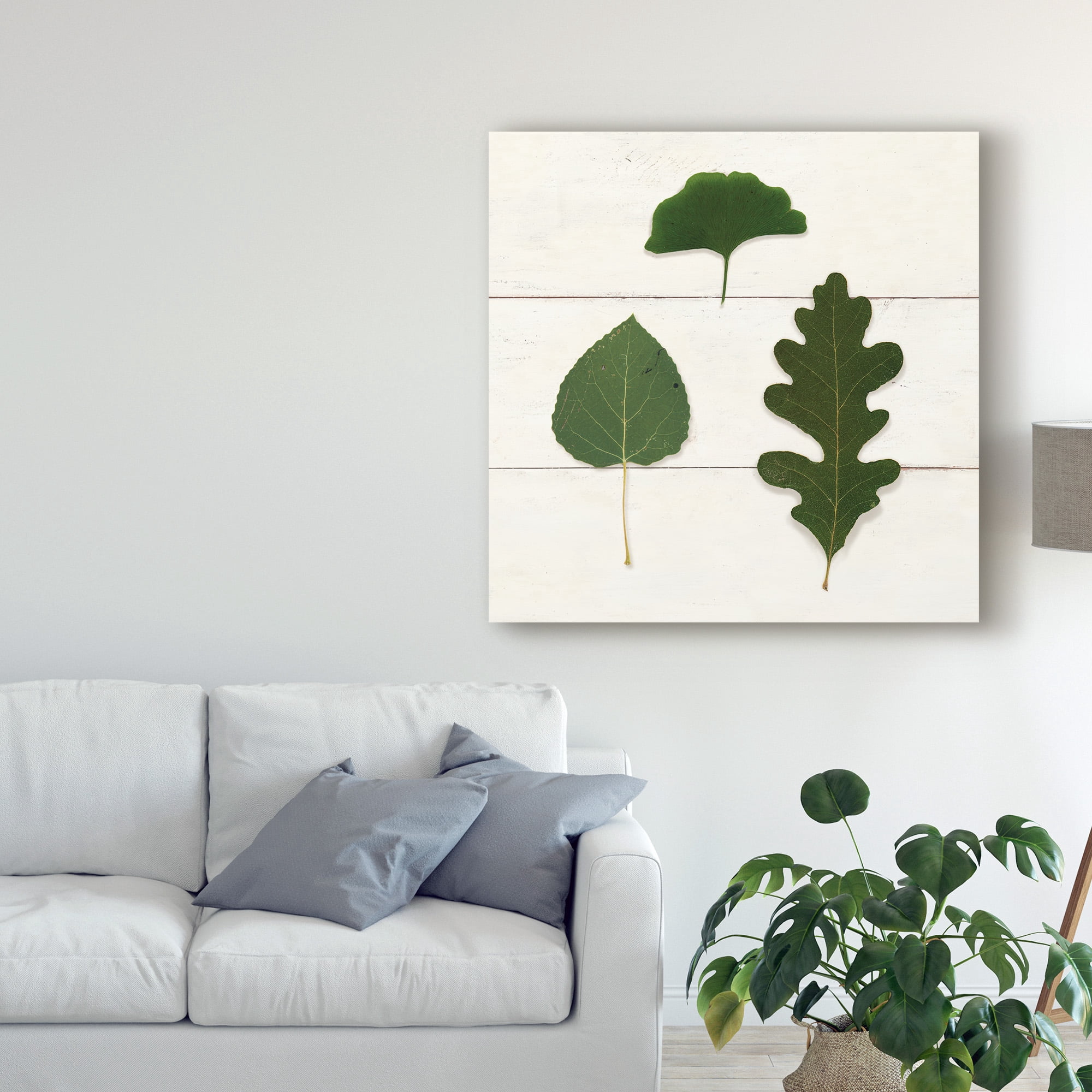 Trademark Fine Art 'Leaf Chart III Shiplap' Canvas Art by Wild Apple Portfolio